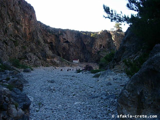 Photo report of two mountain walks in Sfakia, Crete, June 2008